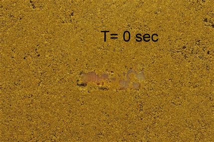 Earthworm tunelling in the box